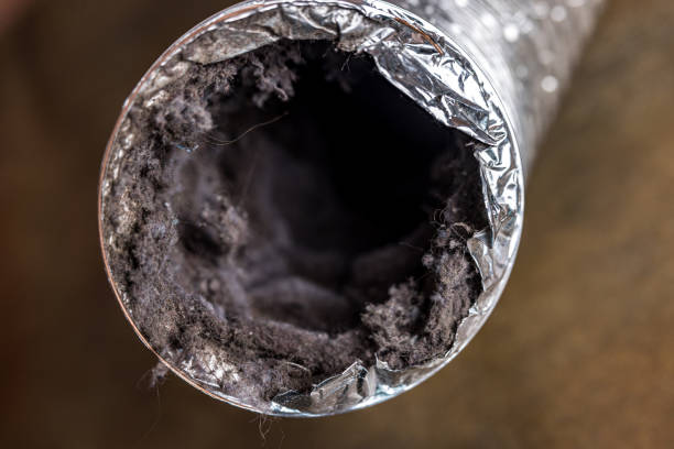 Best Home Air Vent Cleaning  in Sherwood, OH